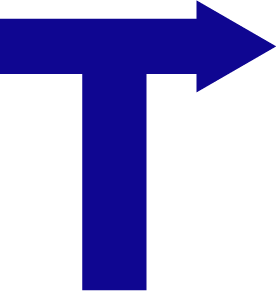 TogetherNow T Logo